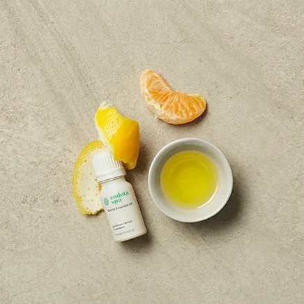 rse020_endota_essentail_oils_clarity_10ml_lifestyle_436px